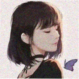 读者阿禾的头像图标